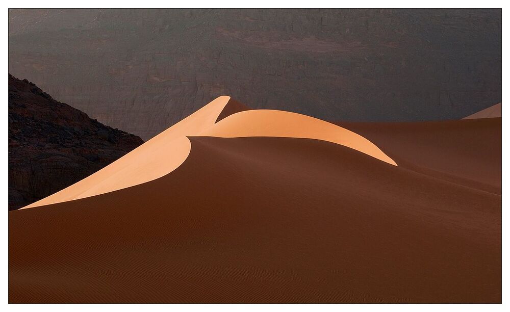 Desert flower