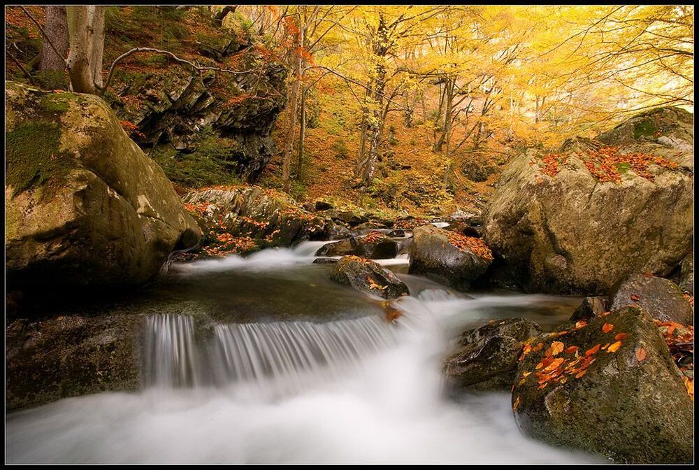 Old river - Central balkan,Bulgaria