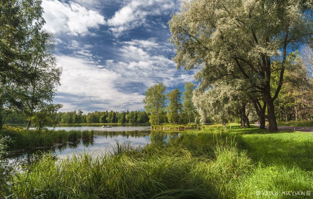 В Гатчинском парке ...