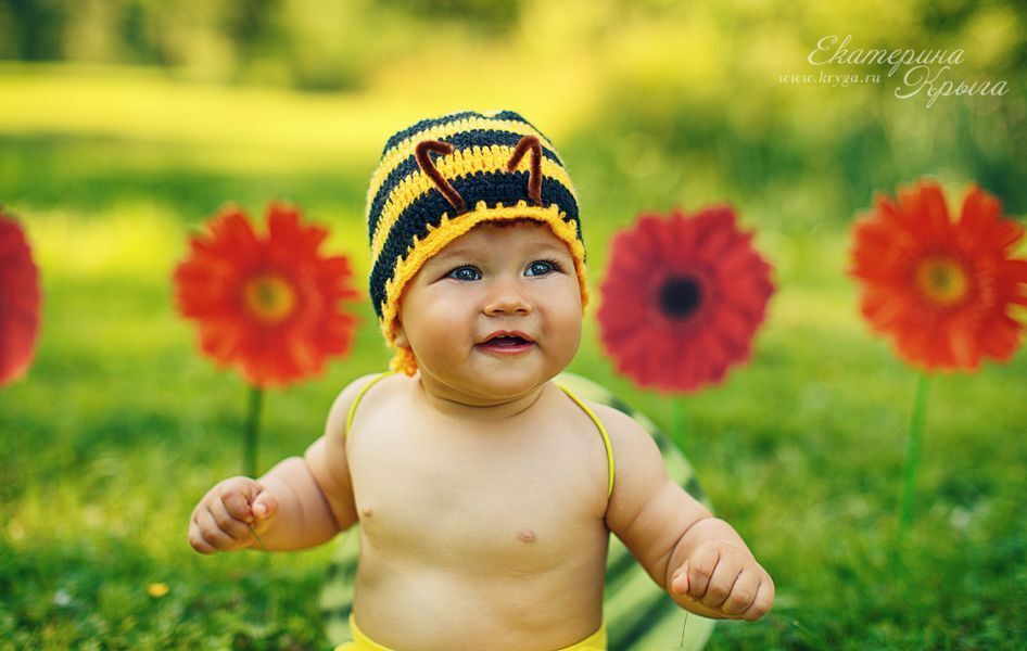 Little bee