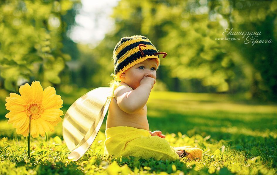 Little bee