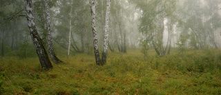 Панорама. 5 вертикальных кадров, 60мм. f9, iso100, 13s.