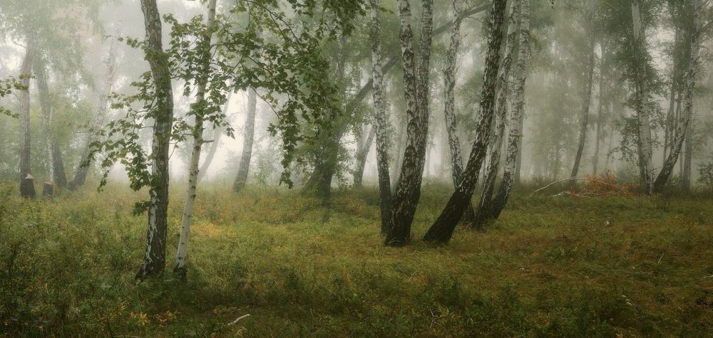 Панорама. 3 горизонтальных кадра, 50мм. f9, iso100, 3,2s.