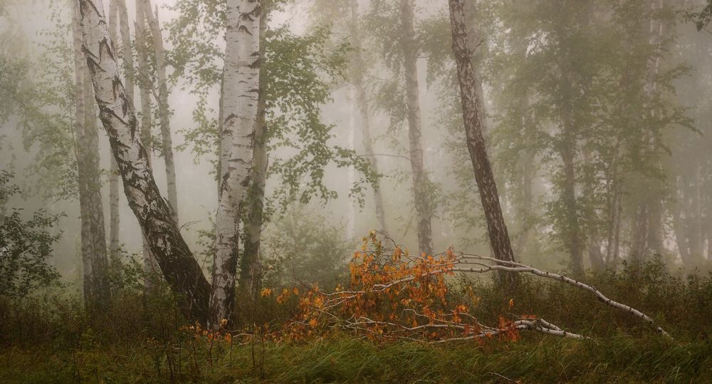 Панорама. 5 вертикальных кадров, 235мм. f9, iso100, 3,2s.