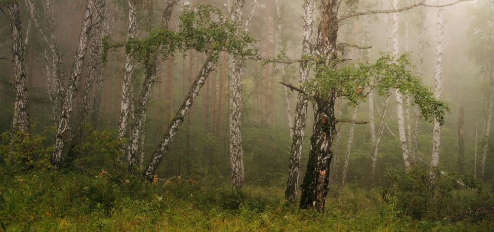 Панорама. 6 вертикальных кадров, 130мм. f10, iso100, 4s