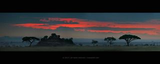 Рассвет в саванне