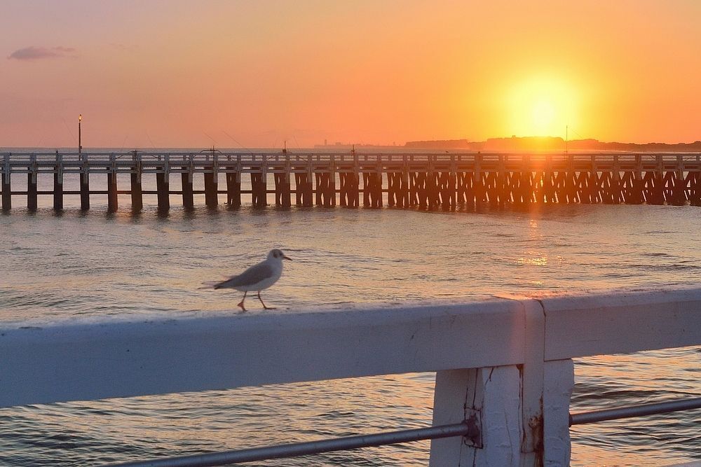 Sunrise in Newport.