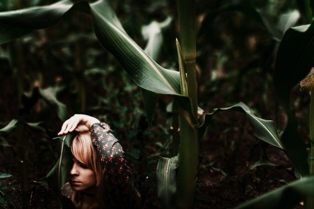 Corn