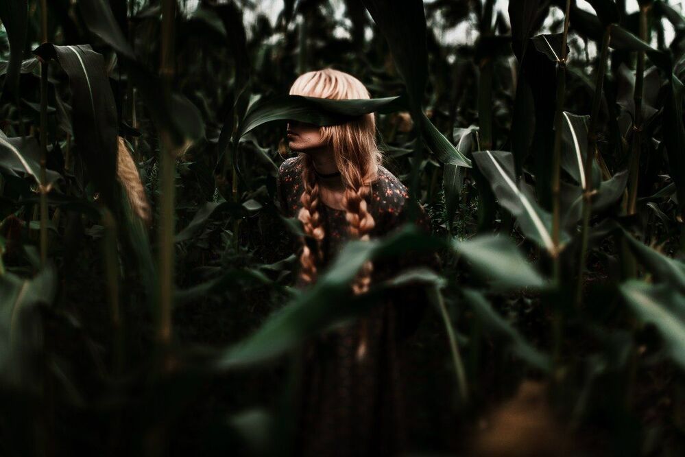 Corn