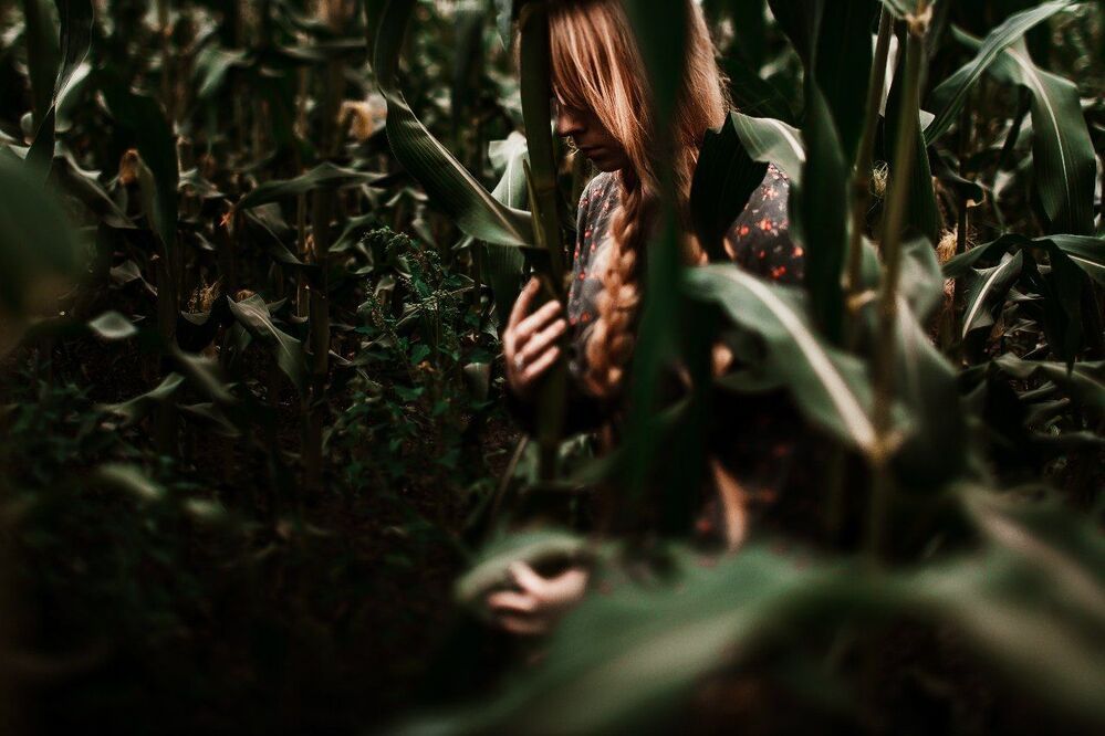 Corn