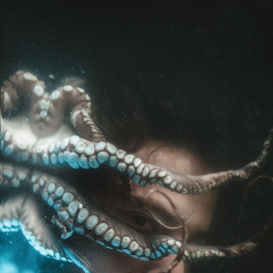 33 ﻂƹⱢ&loz;ᾧ