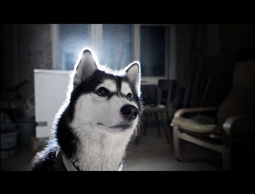 Photo 585071