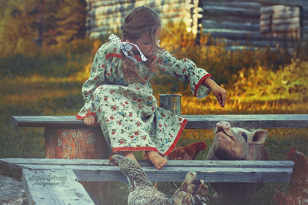 Летом в деревне