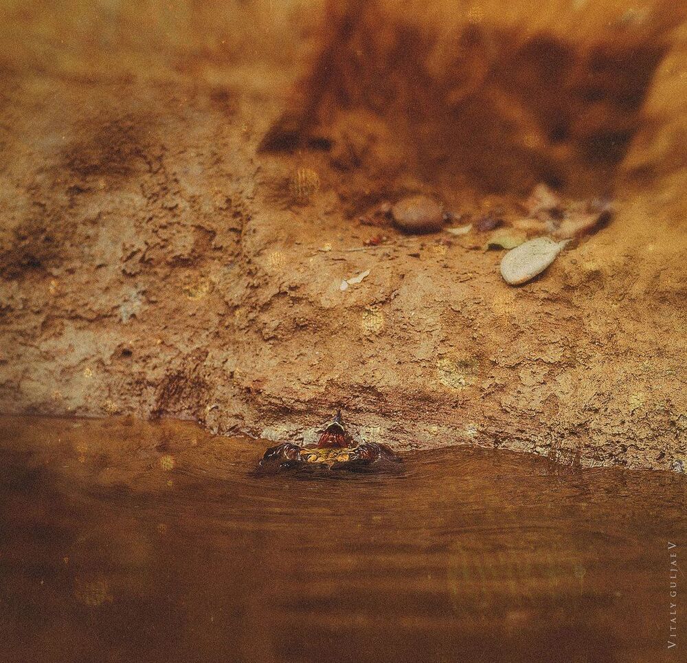 .story of one help.