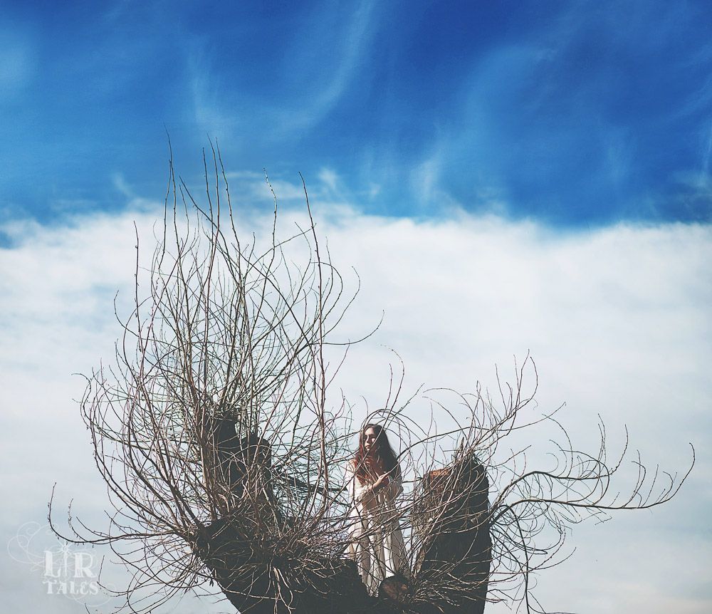 The Tree of life