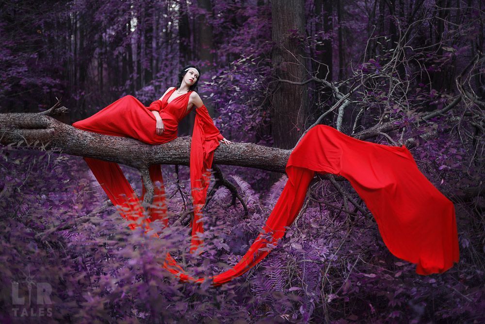 The Scarlet Flower