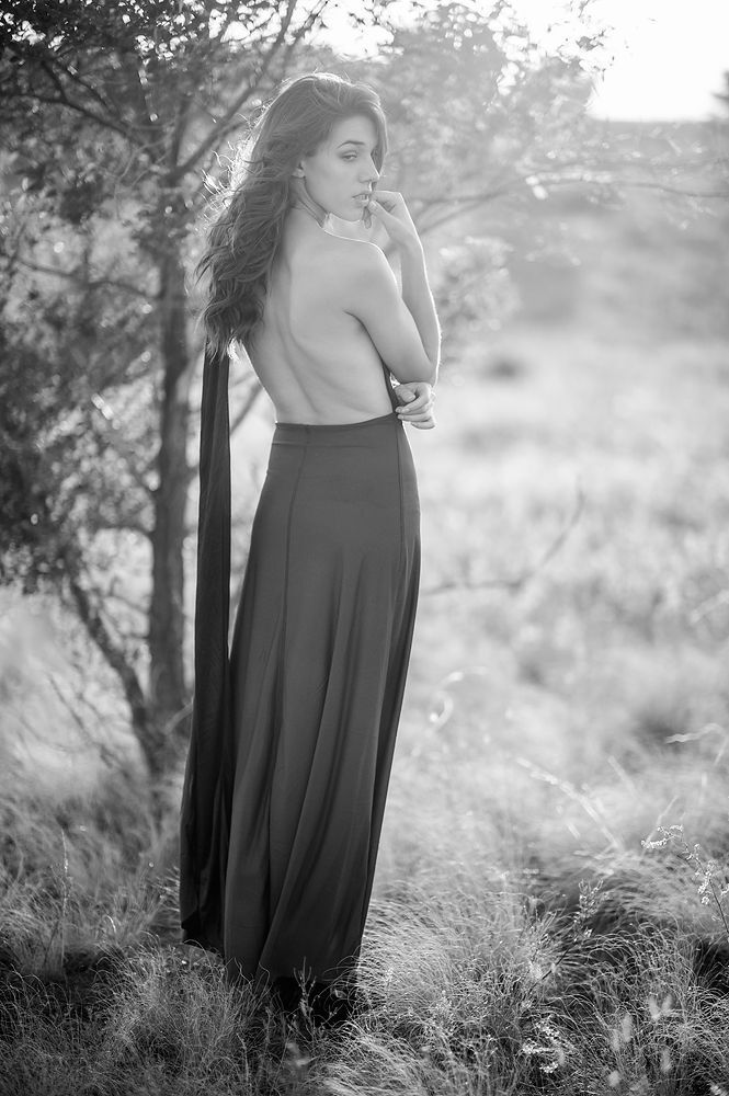 Photo 586532