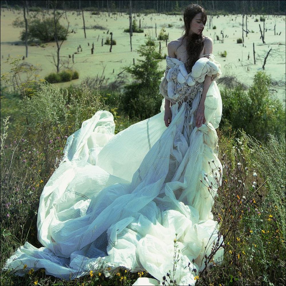 Photo 586629