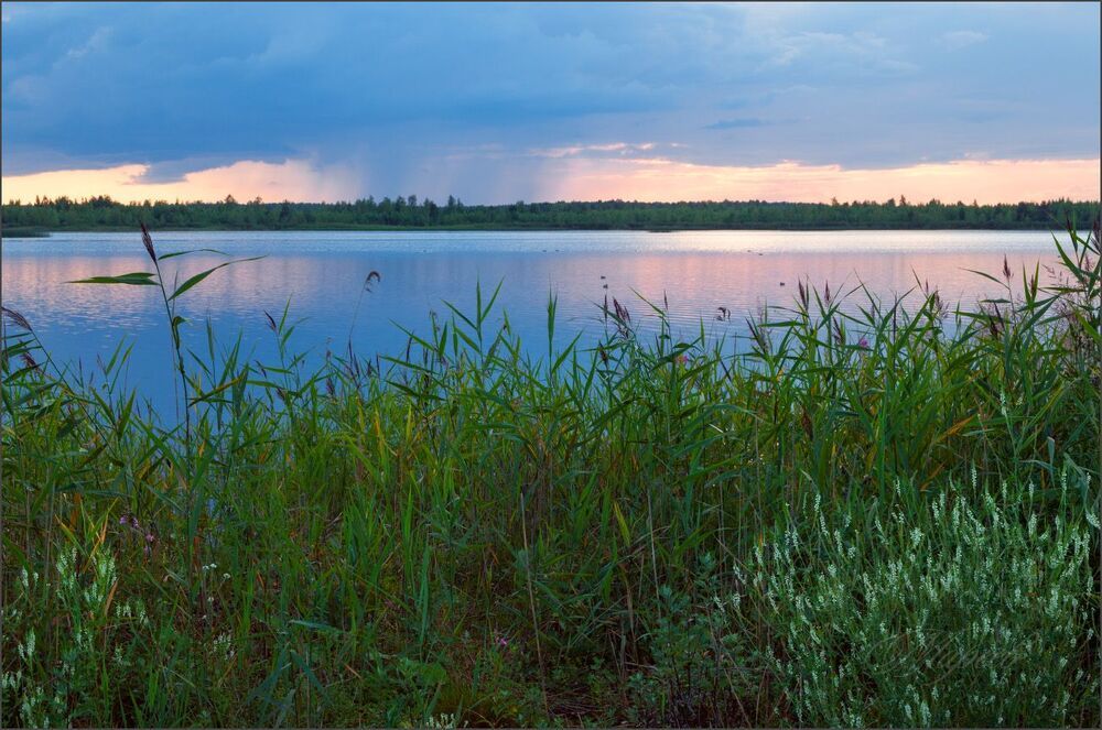 В июле на торфяниках.