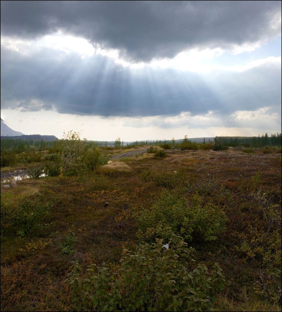 Вот и осень