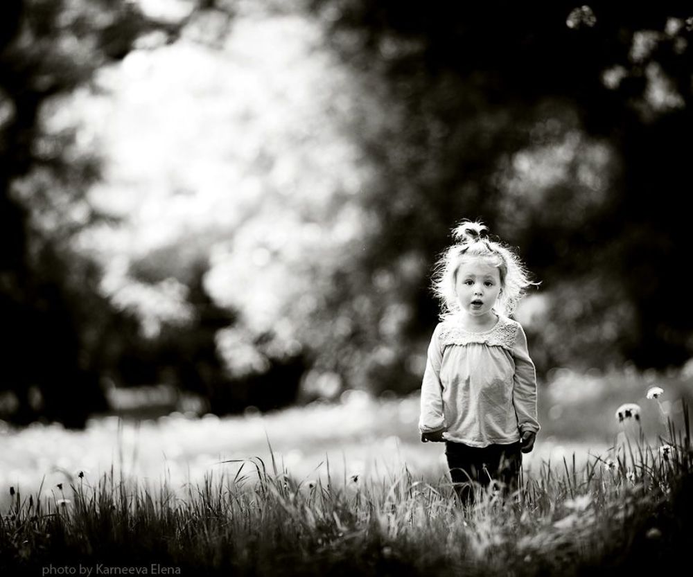 Photo 59712