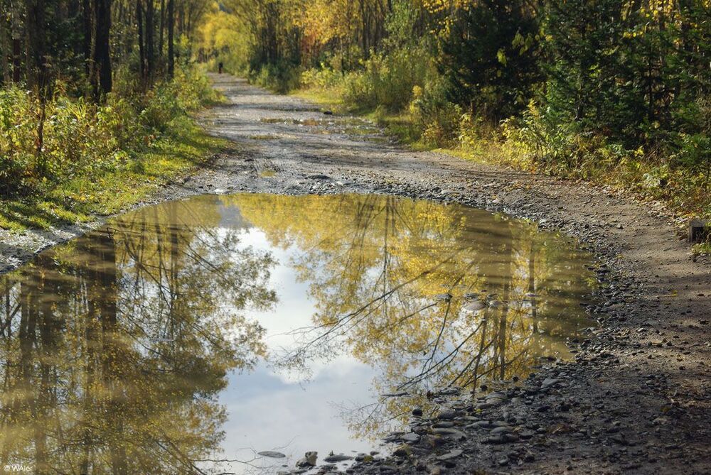 Лужа по дороге домой. В 15-40 сели на электричку, в 18-30 я был дома в Междуреченске, большая часть туристов поехала дальше, кто в Кузню (Новокузнецк), кто в Кемерово, кто в Сибу (Новосибирск).   Вот так закончился поход выходного дня на день туриста.