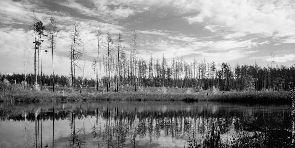 Photo 591387