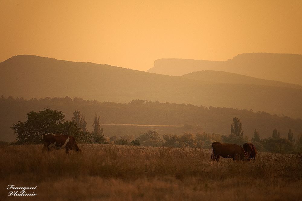 Крымское село