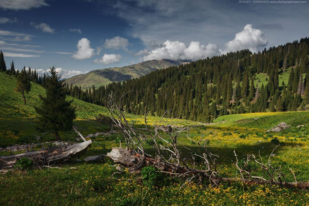 Текес