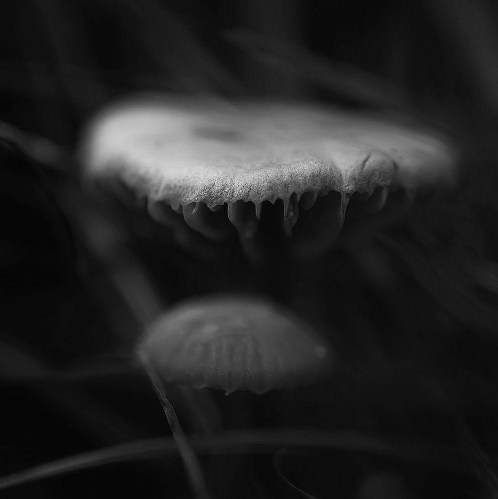 Meditation
