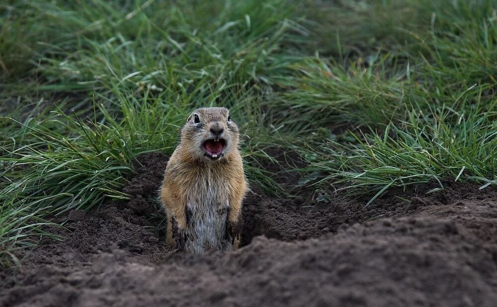 Фото на память.