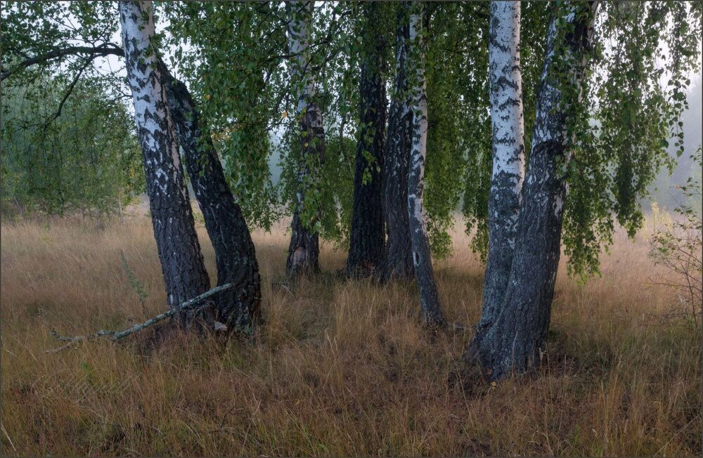 Последние два утра лета.