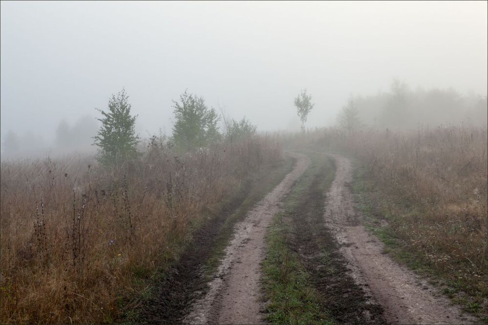 Последние два утра лета.