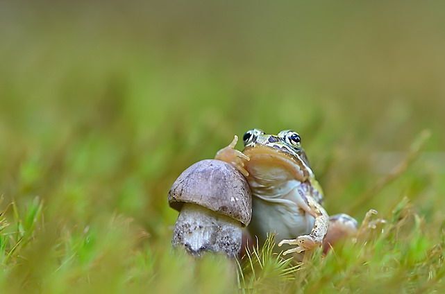 Жизнь удалась.