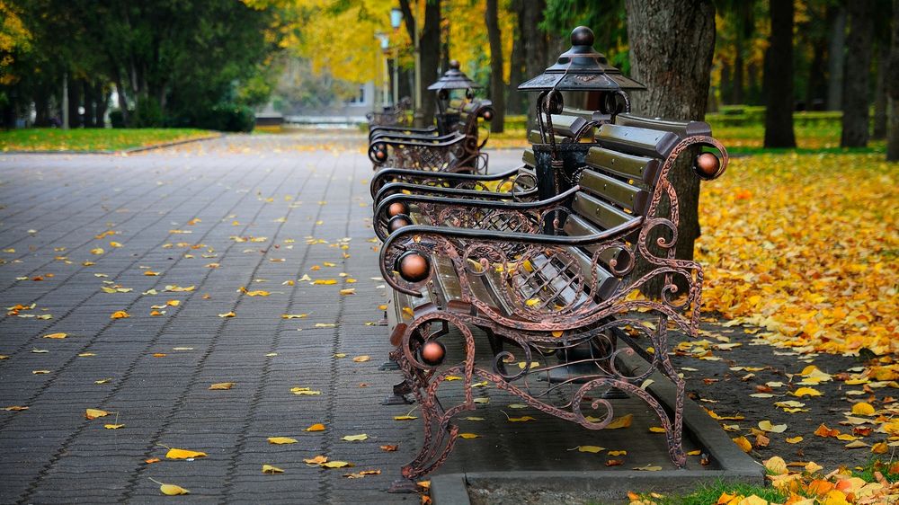 По следам старых публикаций (на осеннюю тему)...