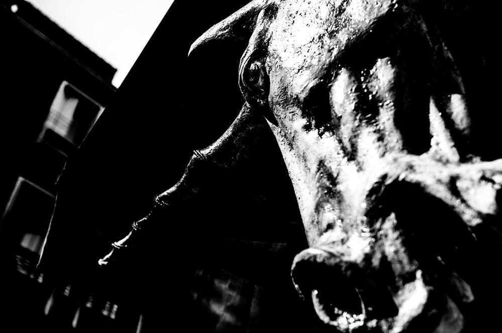 il custode