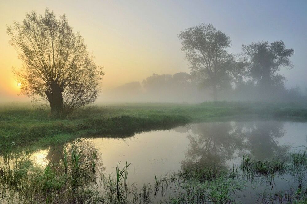 A summer morning.