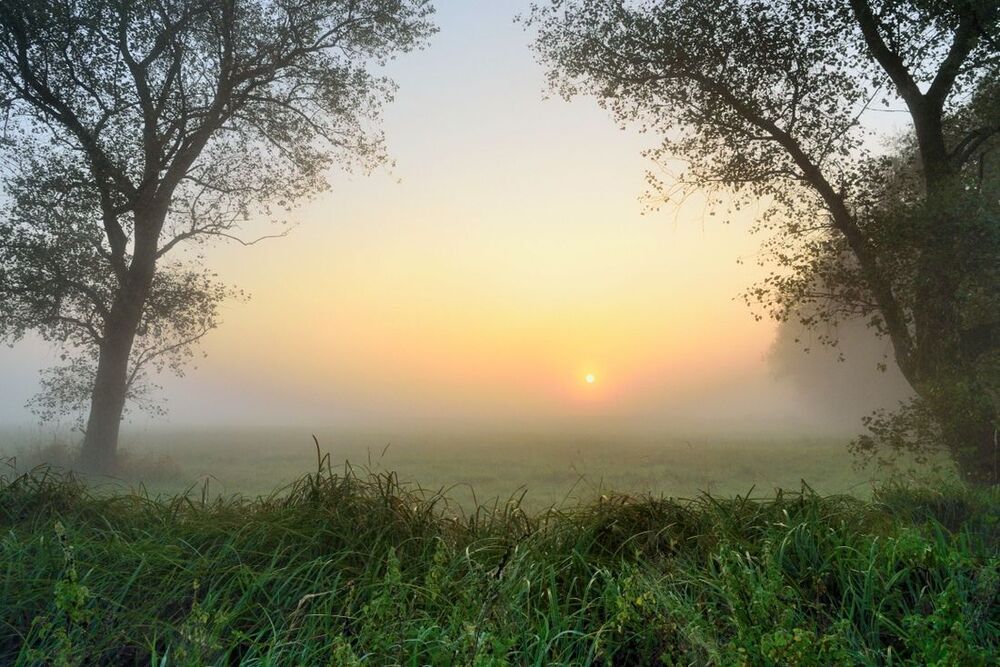 A summer morning.