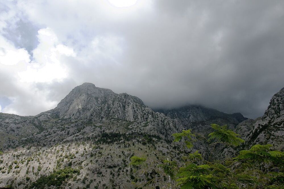 MONTENEGRO
