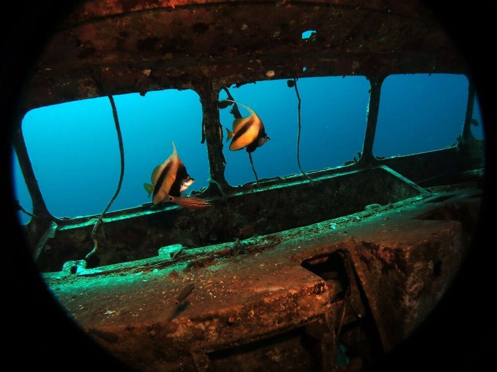 Red Sea