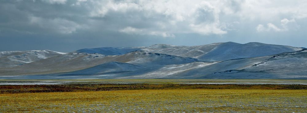 Чуйская степь