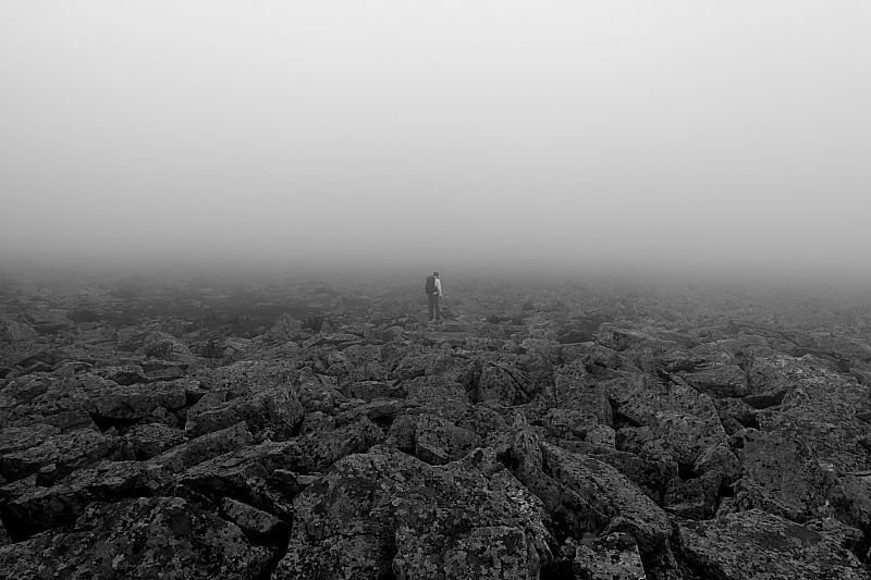 Photo 597278