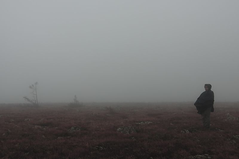 Photo 597281