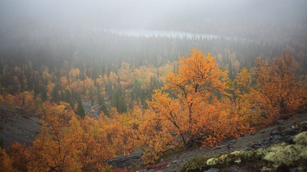 Photo 597379