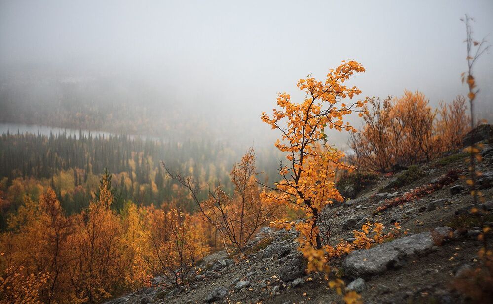 Photo 597380