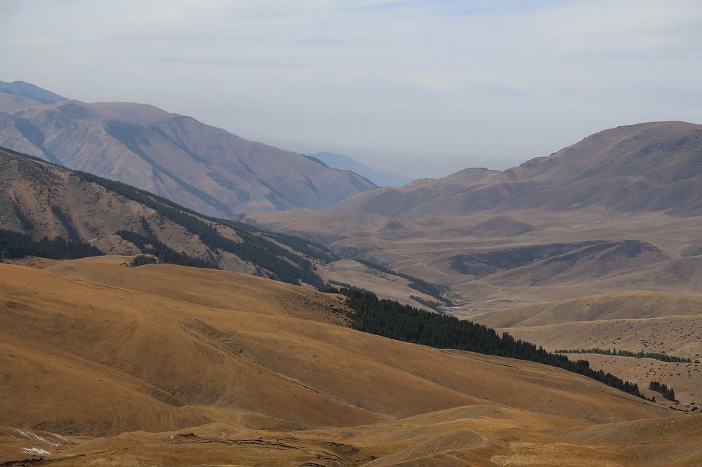 Photo 597551