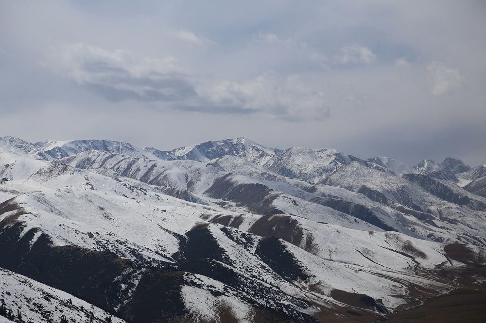 Photo 597552