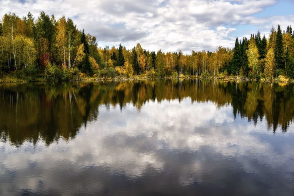 Шаги осени