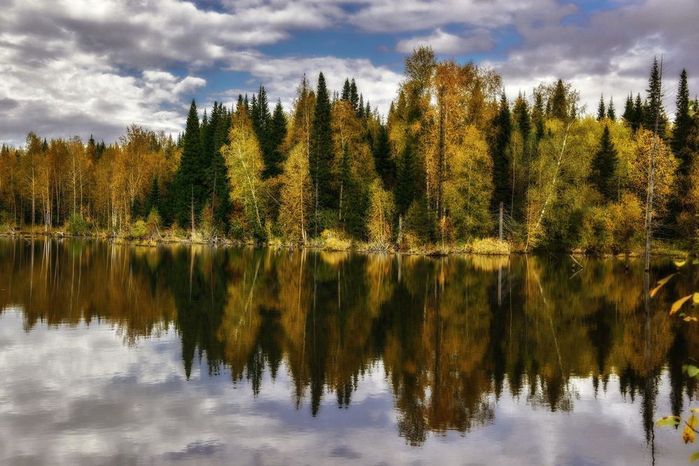 Шаги осени