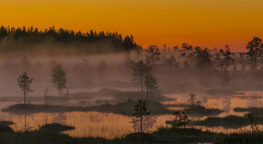 По Карелии